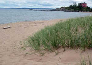 CC19 Marquette Beach