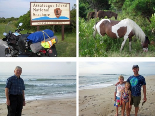 CC23 Composite II Asateague