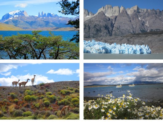 1. The Towers in the background. 2. Gray Glacier calving into Gray Lake. 3. Guanacos. 4. The bay at Natales.