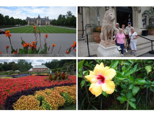 1. Mansion at the Biltmore Estate; 2. Posing after a tour of the house; 3. The gardens were spectacular; 4. In your face gorgeous!